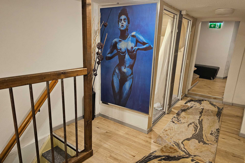 Munceste si straluceste in Elvetia. Plata zilnica